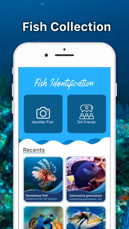 Fish Identifier - Fish ID screenshot-3