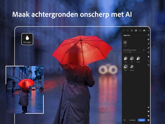 Adobe Lightroom for iPad iPad app afbeelding 3