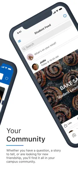 Game screenshot Angelina College hack