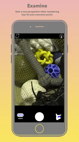 Game screenshot Dog Optics hack