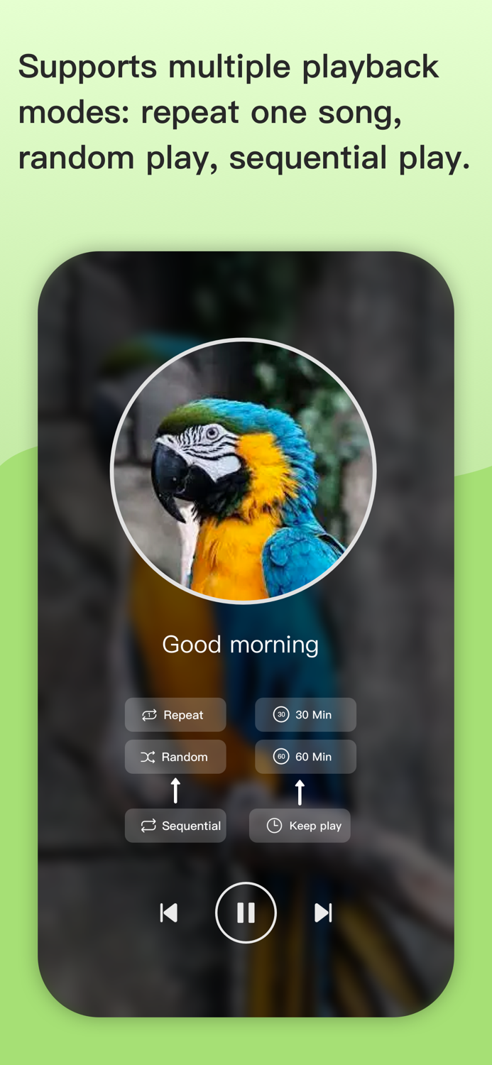 BirdTalker-Teach bird to talk