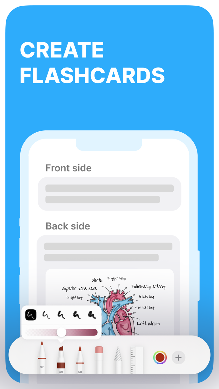 Anki Pro Flashcards Learning
