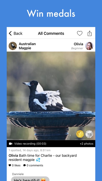 Smart Bird ID (Australia & NZ) screenshot-4