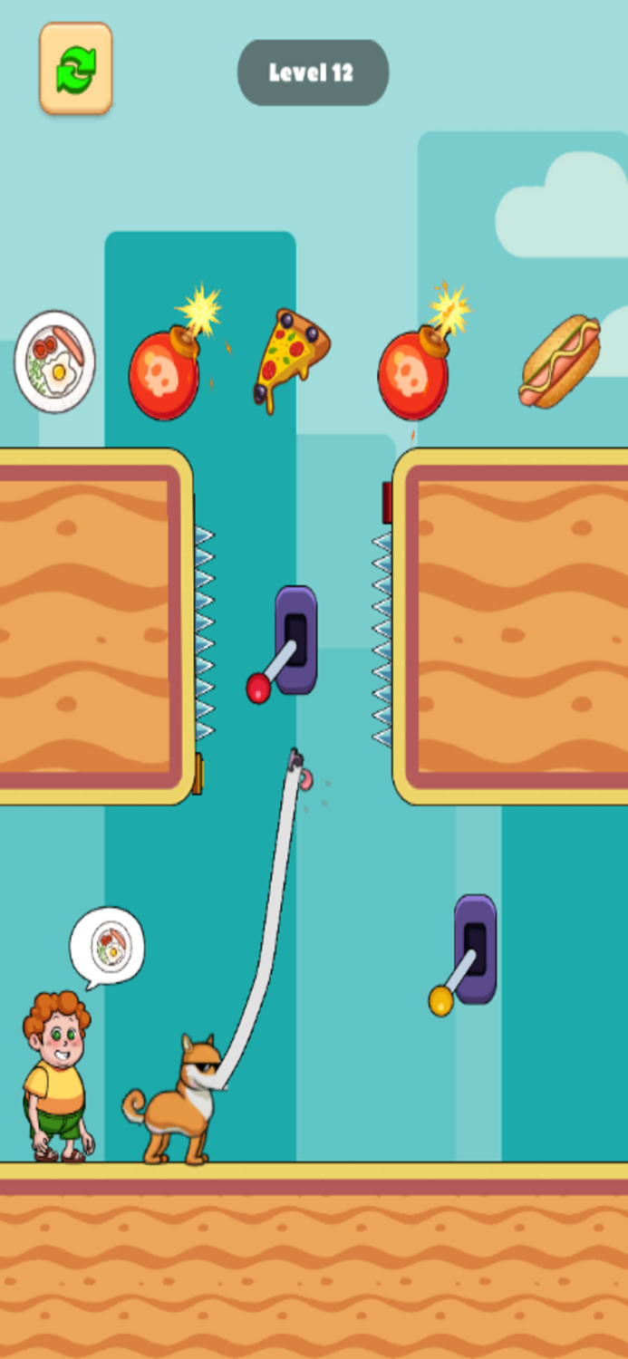 Borzoi Long Nose Dog