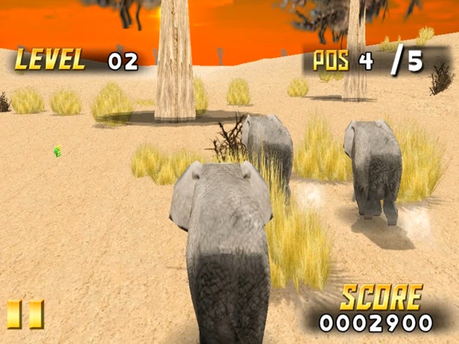 ‎Savanna Race