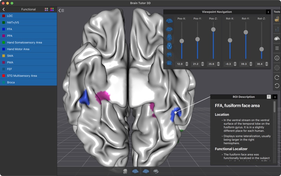 #6. Brain Tutor (macOS) 由: Rainer Goebel