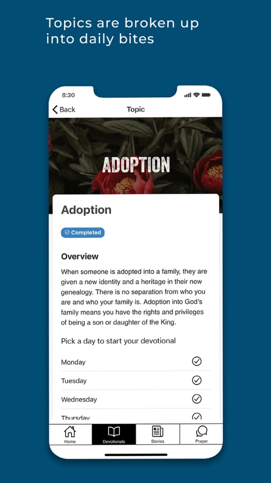 #3. Insight Devotional (iOS) Podle: Haggai International