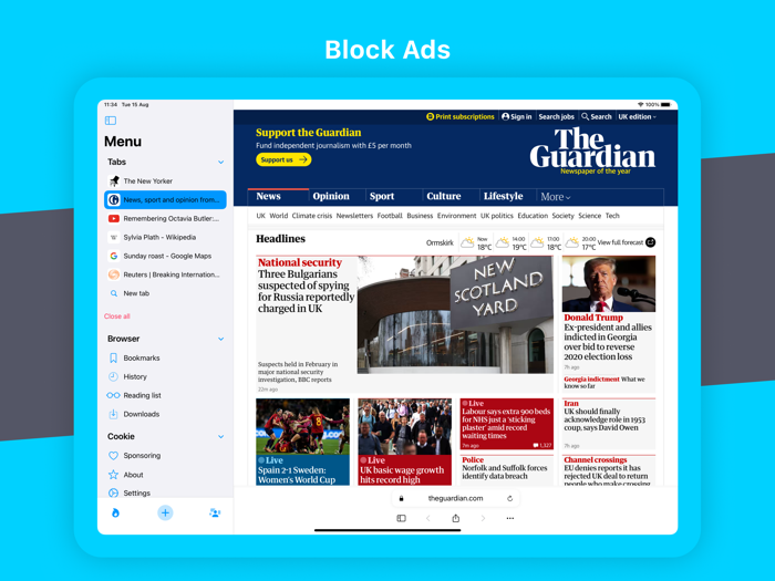 Cookie Web Browser Private