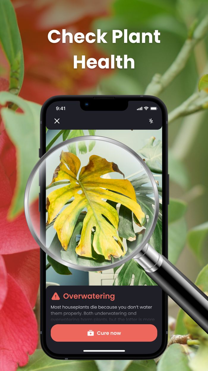 PlantIn Plant Identifier