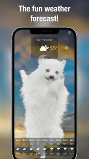 dog weather live iphone screenshot 1