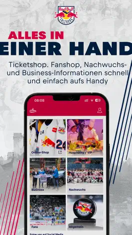 Game screenshot EC Red Bull Salzburg hack