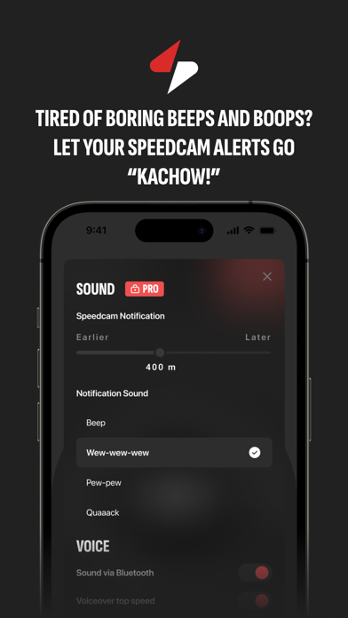 Speedster: speed cams Screenshot