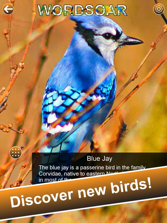 Word Soar - Fun Puzzle Game