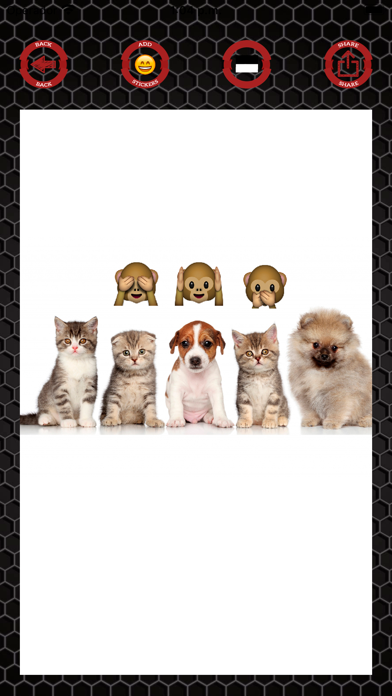 Emoji stickers to photos Screenshot