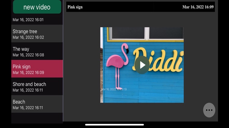 Video Journal & Notes