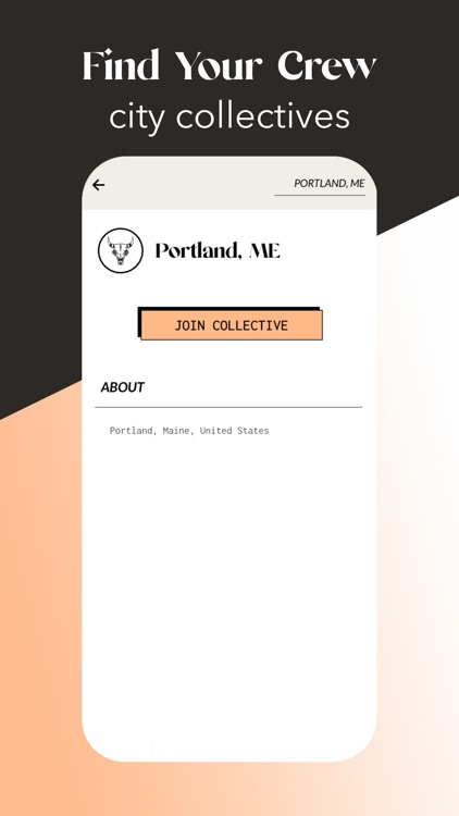 Collective by The Litas