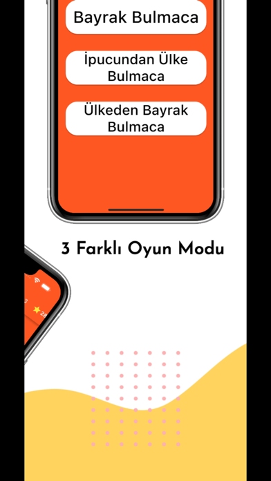 Bayrak Bulmaca Screenshot