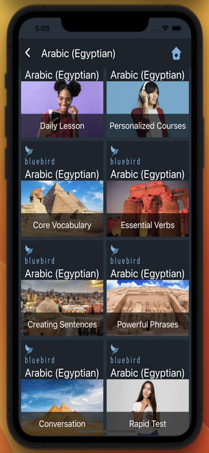 Bluebird Egyptian Arabic