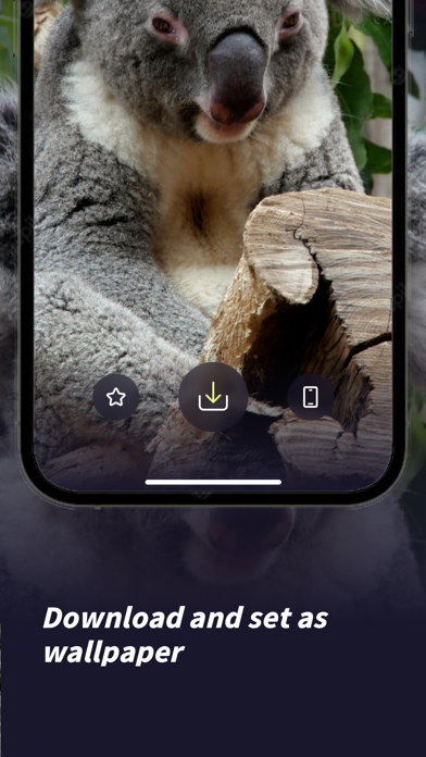 Koala Wallpaper Screenshot