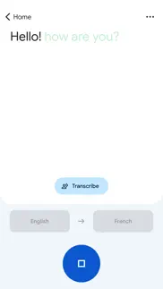 google translate iphone screenshot 2