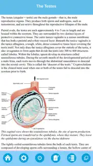 How to cancel & delete male reproductive system 1