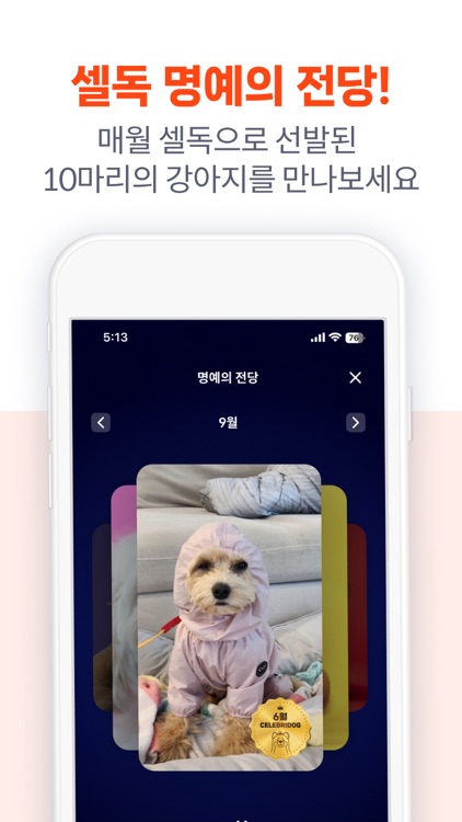 셀레브리독 screenshot-5