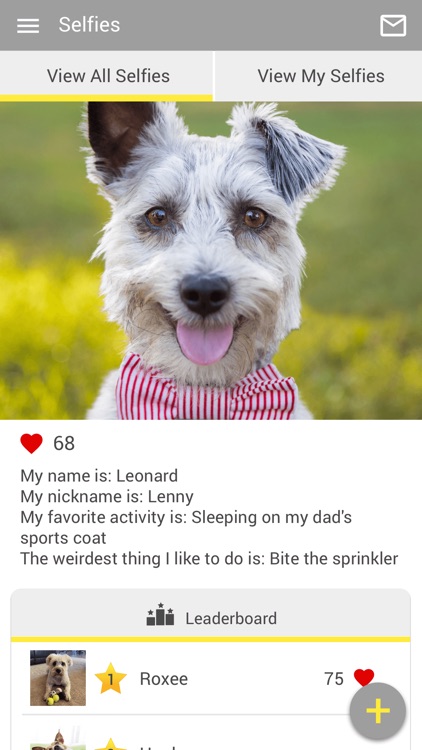 Tri-County Vet screenshot-3