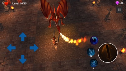 Hero North:Dragon Slayer 3d IO Screenshot