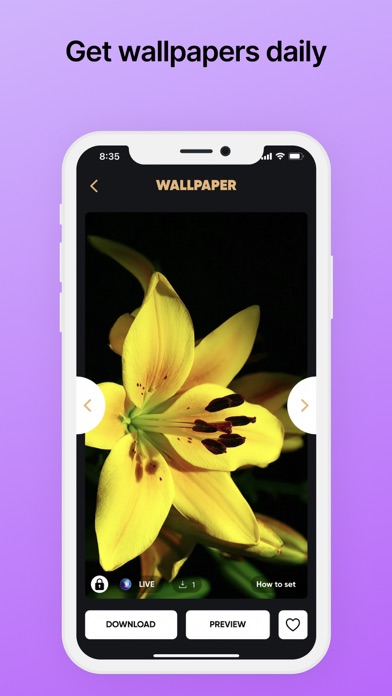 zLiveWP -  Best 4K&HD Screenshot