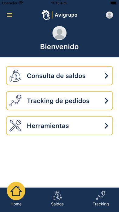 Avigrupo México Screenshot