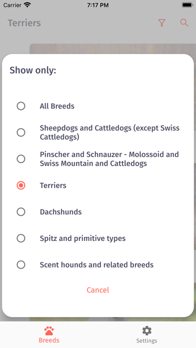 Paws: Dog & Puppy Breeds Screenshot