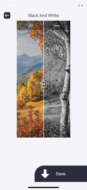 ‎Photo Editor: Quick Generation Screenshot