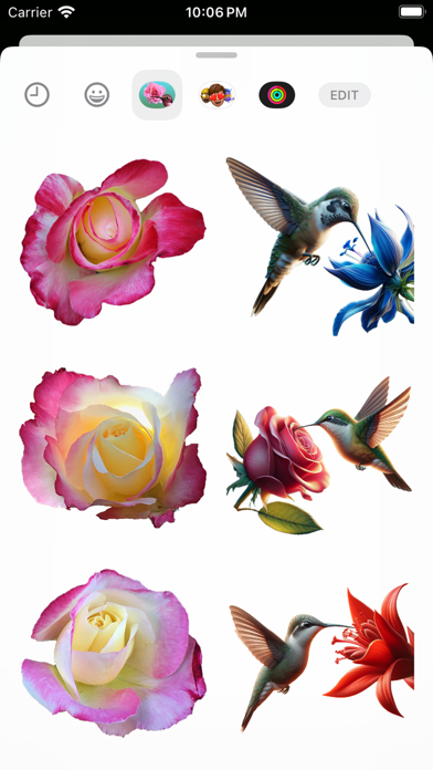 Hummingbird Flowers Screenshot