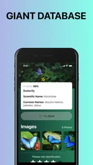 bug identifierーidentify insect iphone screenshot 3