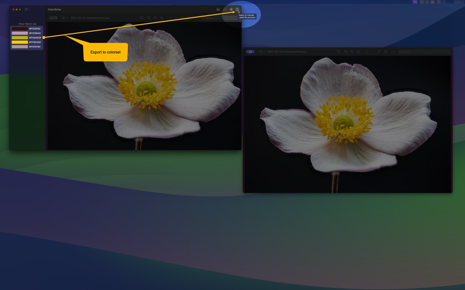 #7. ColorSettor (macOS) 由: Bernd Meinhold