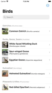 birds from southern africa iphone screenshot 1
