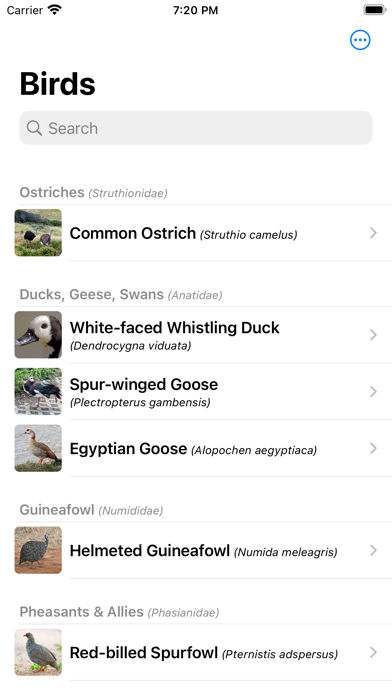 Birds from Southern Africa Screenshot