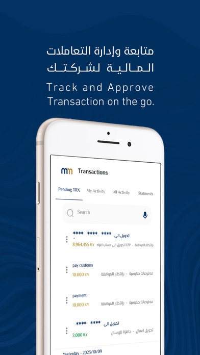 Mobile Money Business Screenshot