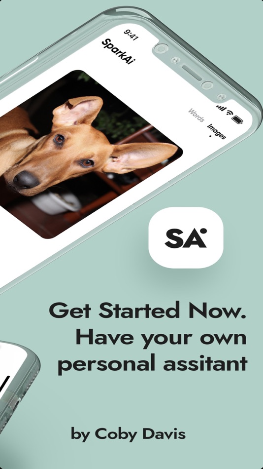 #5. SparkAI Assistant (iOS) 由: Cj Davis