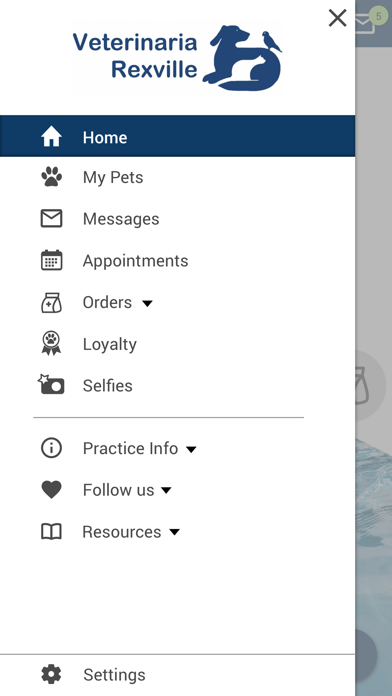 Veterinaria Rexville Screenshot