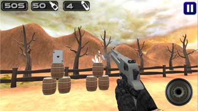 Bottle Shooter Expert 3D Screenshot