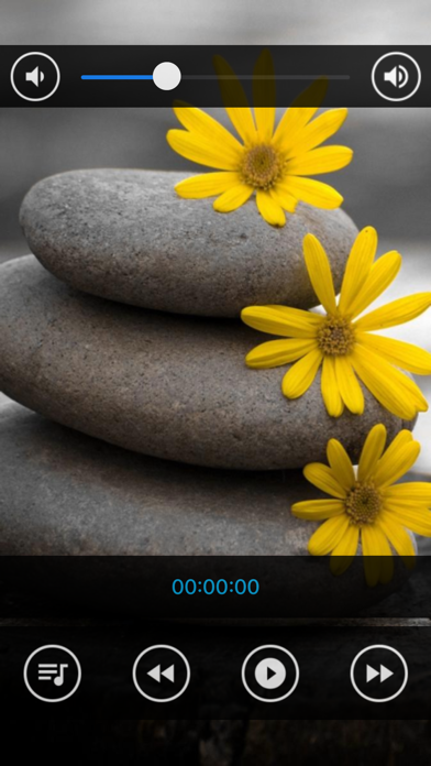 Relaxing Spa : Massage Music Screenshot
