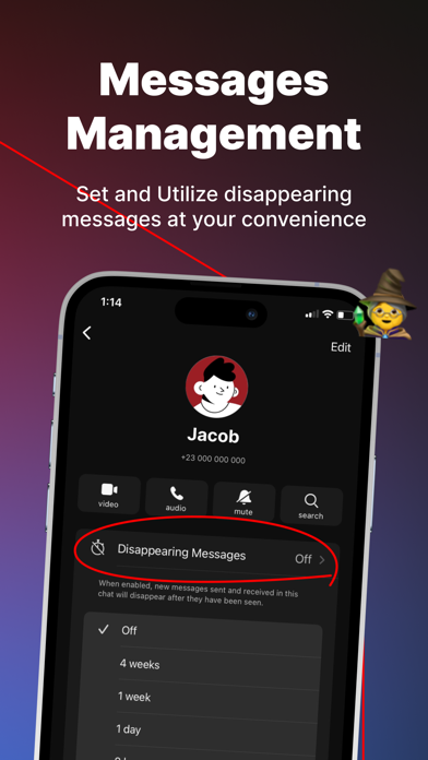 Leo Messenger screenshot
