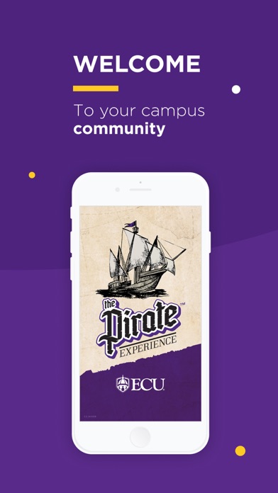 The Pirate Experience Screenshot