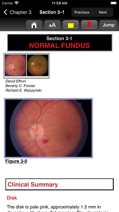 Atlas of Emergency Medicine 5E Screenshot