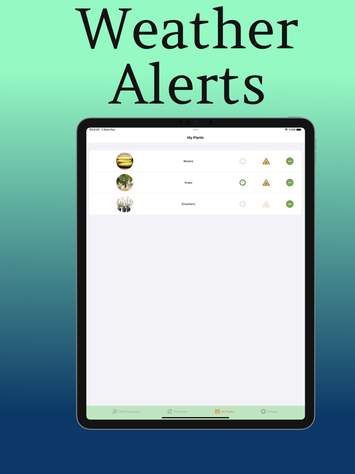 Plant Care Guide and Tips