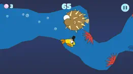 hopperfish problems & solutions and troubleshooting guide - 4