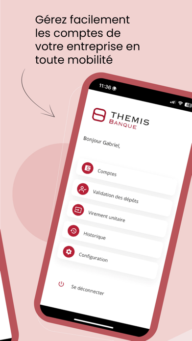 THEMIS BANQUE Screenshot