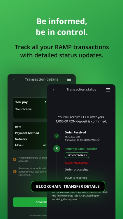 Tradesilvania Ramp screenshot-4