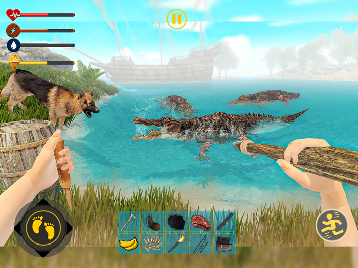 Last Island Survival Game